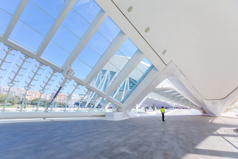 Valencia: Película 3D Ciudad de las Artes y las Ciencias en el HemisfèricCiudad de las Artes y las Ciencias de Valencia: película 3D en Hemisfèric