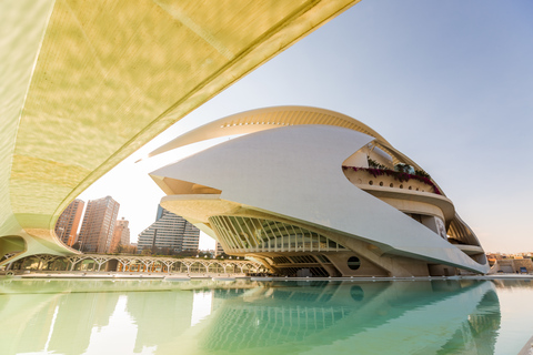 Valencia: Stad van Kunst en Wetenschap 3D Film in Hemisfèric