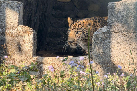 Pokhara:Zoological Park & Lake Suspension Bridge Guided Tour