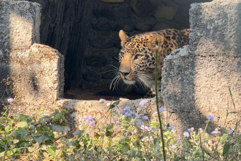 Pokhara:Zoological Park & Lake Suspension Bridge Guided Tour