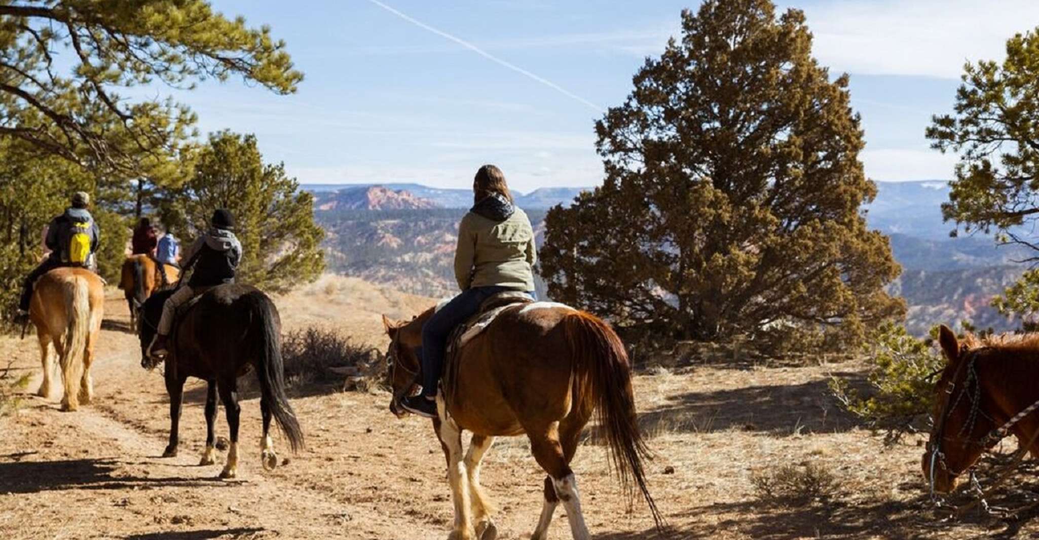 Bryce Canyon, Horseback Ride in the Dixie National Forest - Housity