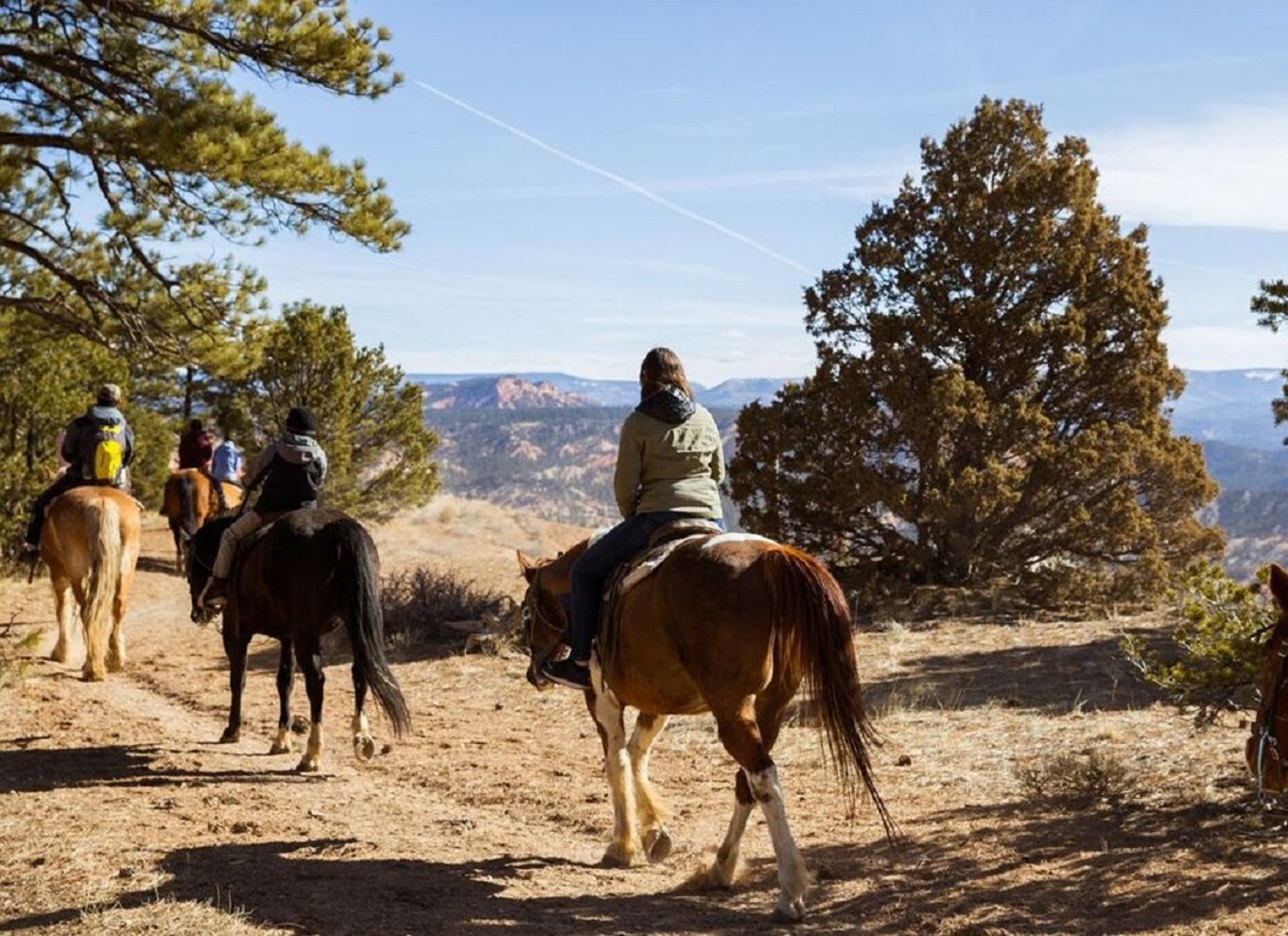 Bryce Canyon: Ridetur i Dixie National Forest