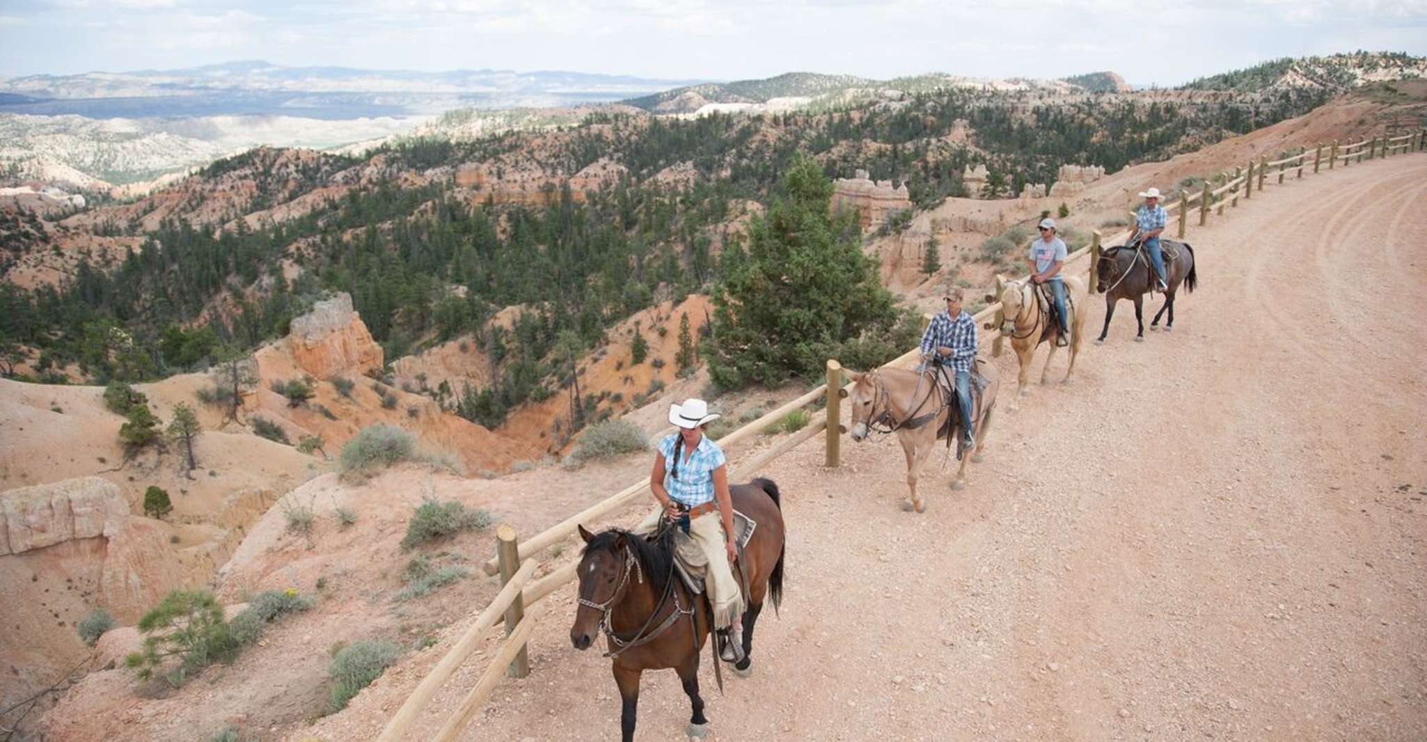 Bryce Canyon, Horseback Ride in the Dixie National Forest - Housity