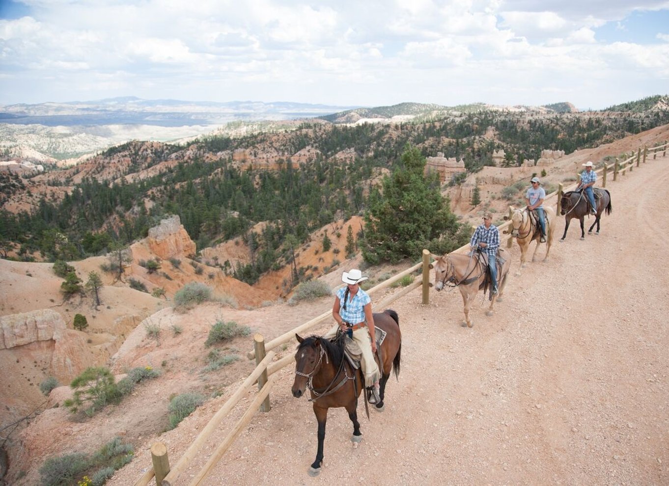 Bryce Canyon: Ridetur i Dixie National Forest