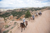 Bryce Canyon, paseo a caballo en el bosque nacional de Dixie - Housity