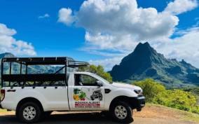 Moorea: Half-Day Open-Air 4WD Safari with Hotel Transfers