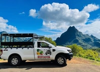 Moorea, halve dag open-air 4wd safari met hoteloverdrachten - Housity