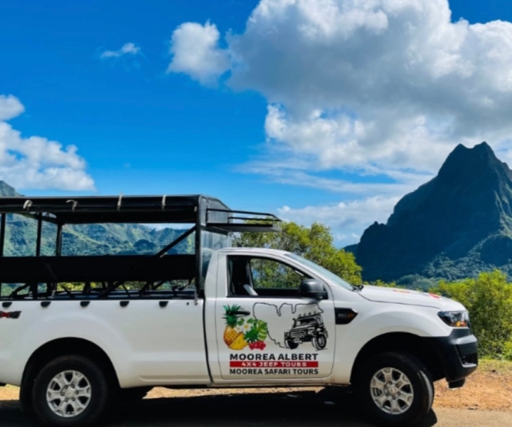 Moorea: Safari de medio día en 4x4 al aire libre con traslados al hotel