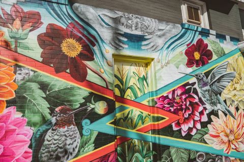 SF: Mission District Mural Art and Food Tour with Tasting