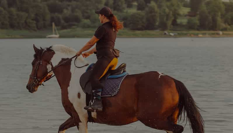 horse riding tennis shoes