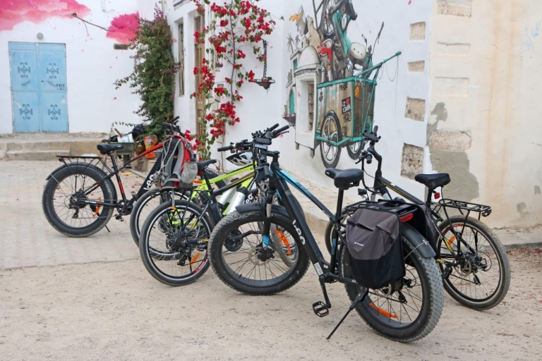 Djerba: Erriadh Djerbahood E-Bike TourOption standard