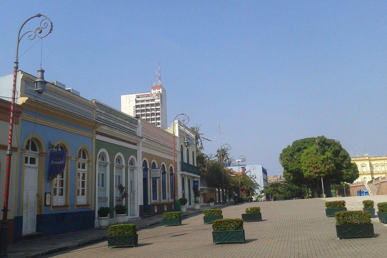 Manaus: Guided Walking Tour with Museum Entry