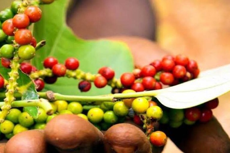 Zanzibar: Spice farm tour with local guide Zanzibar: Spice Farm Tour with Stone Town Pick-Up”