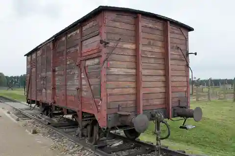 Från Krakow: Saltgruvan i Wieliczka och Auschwitz med guide