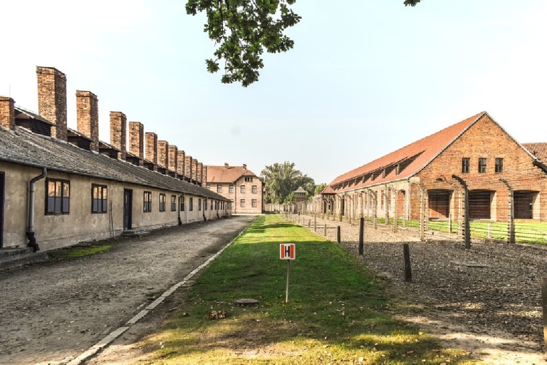 Z Krakowa: Kopalnia Soli w Wieliczce i wycieczka z przewodnikiem po Auschwitz12-godzinna wycieczka z 30 gośćmi