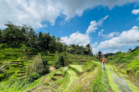 Ubud privato: Cascate, tempio dell&#039;acqua, terrazza di risoTour di un giorno (10-12 ore di tour), escluse le tariffe dei biglietti d&#039;ingresso