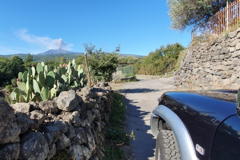 Sicile: excursion en jeep 4x4 sur l'Etna avec grottes de lave et forêtsVisite privée en groupe