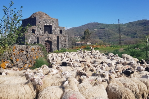Sicilië: Etna 4x4 Jeep Tour met lavagrotten en bossenPrivé groepsreis