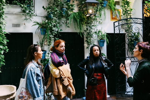 Málaga: Flamenco and City Highlights Guided Tour Standard Option