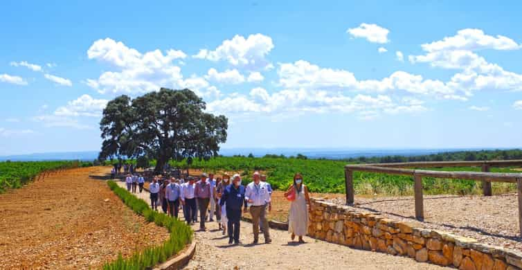 vineyard tours valencia