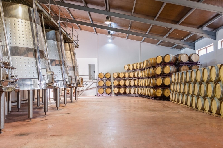 Valencia: Kellereibesuch mit Weinbergsbesichtigung und Weinverkostung