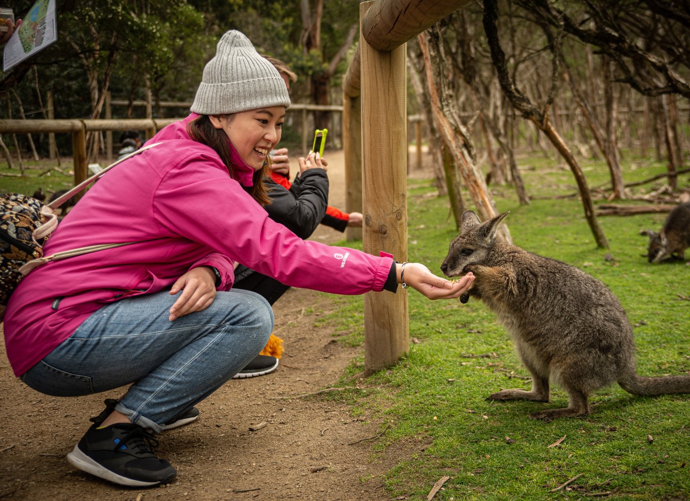 Fra Melbourne: Phillip Island Penguin Parade Eco Tour