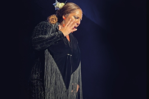 Grenade: spectacle de flamenco en direct à la Casa Ana billet d'entrée