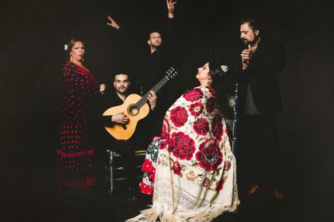 Granada: Live Flamenco Show at Casa Ana Entry Ticket