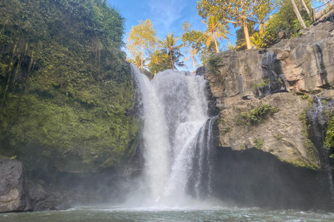 Bali: tour alle terrazze di riso di Ubud, templi e vulcano