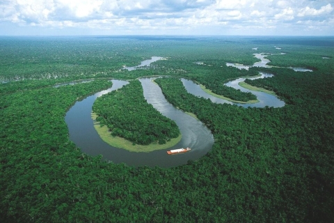 Von Iquitos aus: Tour zum Amazonas, den Flüssen Nanay und Momon