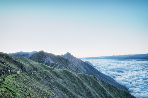 Innsbruck: Alpenzoo &amp; Top of Innsbruck Kombinationsbiljett