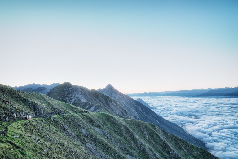 Innsbruck: Bilet łączony Alpenzoo i Top of Innsbruck