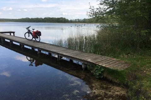 Barnim: Countryside Culinary Tour by Bike with Farm Visit