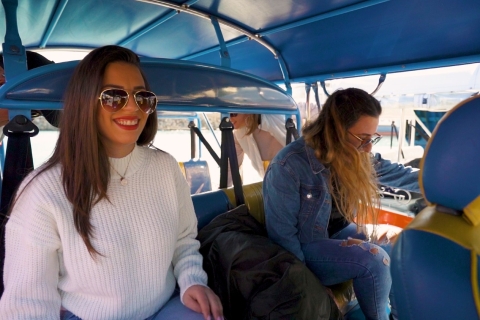 Gozo: 6-stündige Tuk Tuk Tour mit privatem Chauffeur