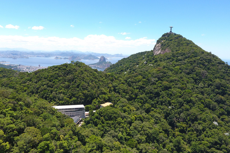Rio de Janeiro: Christ the Redeemer Ticket with Pick Up Rio de Janeiro: Christ the Redeemer Entry & Transportation