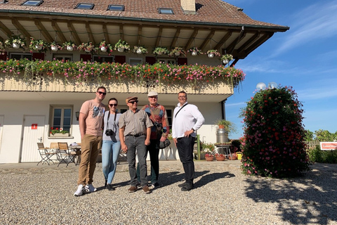 De Zurich / Lucerne: excursion d'une journée dans la capitale et la campagne de BerneDe Lucerne