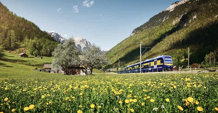 From Zurich: Day Trip to Grindelwald & Interlaken – Best Things to do List