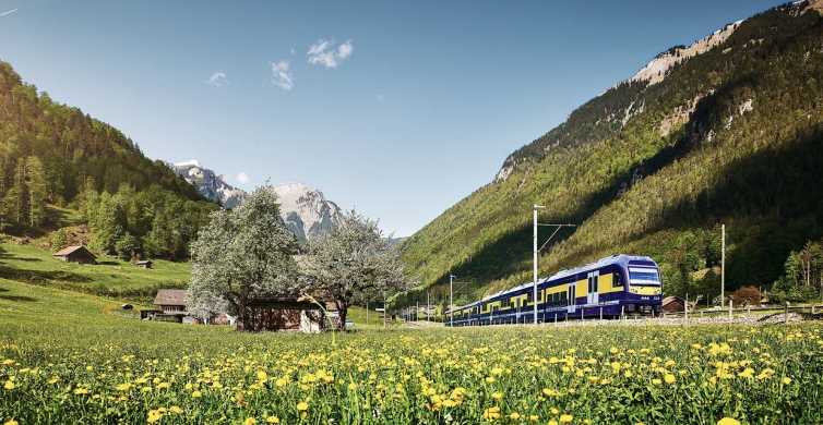 Grindelwald e Interlaken: gita di 1 giorno da Zurigo