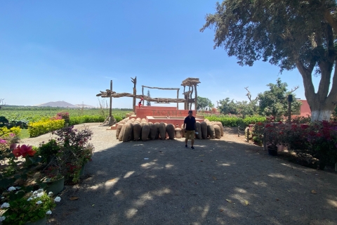 Depuis Ica ou Huacachina: visite des vignobles de vin et de pisco