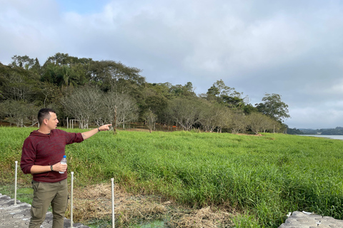 São Paulo: Dagsutflykt i Atlantskogen med en biolog