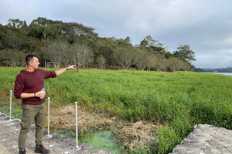 San Paolo: Escursione nella foresta atlantica con un biologoSan Paolo: Escursione di un giorno nella foresta atlantica con un biologo