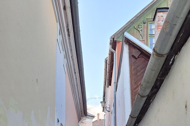 Bp Aquincum-Szentendre-Visegrád Car Private Tour with Driver