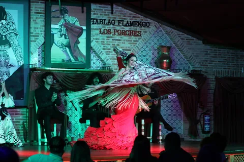 Madrid: Los Porches Flamenco Show med tapas og vinbillet