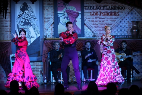 Madrid : spectacle de flamenco en direct avec tapas et billet de vin