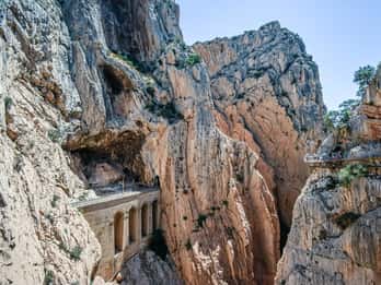 Fra Málaga: Dagstur og guidet tur på Caminito del Rey