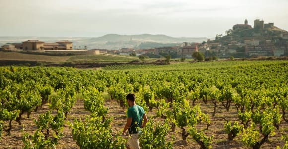 Ab San Sebastián: Private Tagestour durch die Weinregion Rioja