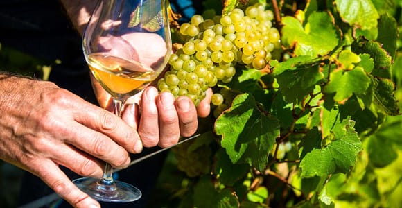 Nizza: Provence-Dorftour mit Wein- und Produktverkostung