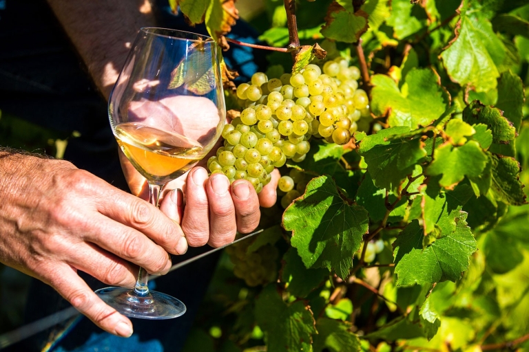 Nice: Tour Provençaalse dorpen met proeverij van wijn en producten