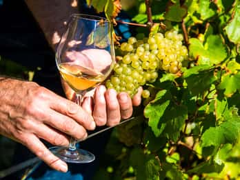 Niza: Visita a un Pueblo de la Provenza con Degustación de Vinos y Productos