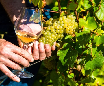 Nice: Provence Village Tour with Wine and Produce Tasting